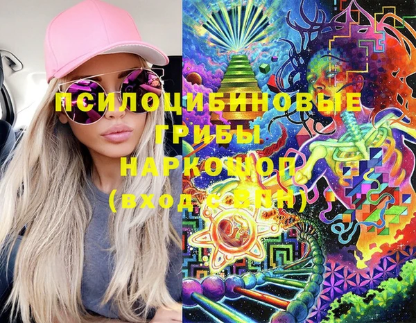 скорость Медвежьегорск