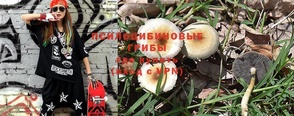 PSILOCYBIN Мегион