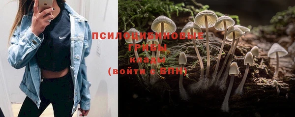 PSILOCYBIN Мегион