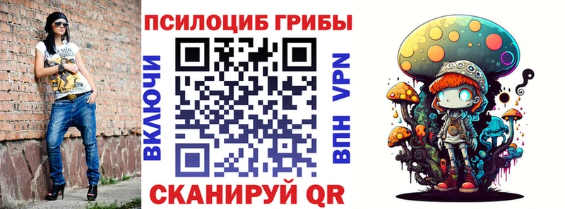 закладка  Янаул  Псилоцибиновые грибы Psilocybe 