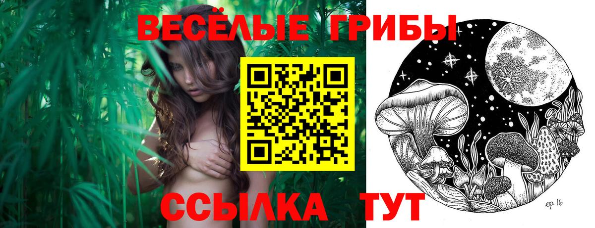 купить закладку  Псилоцибиновые грибы ЛСД  Вход с VPN  Янаул 