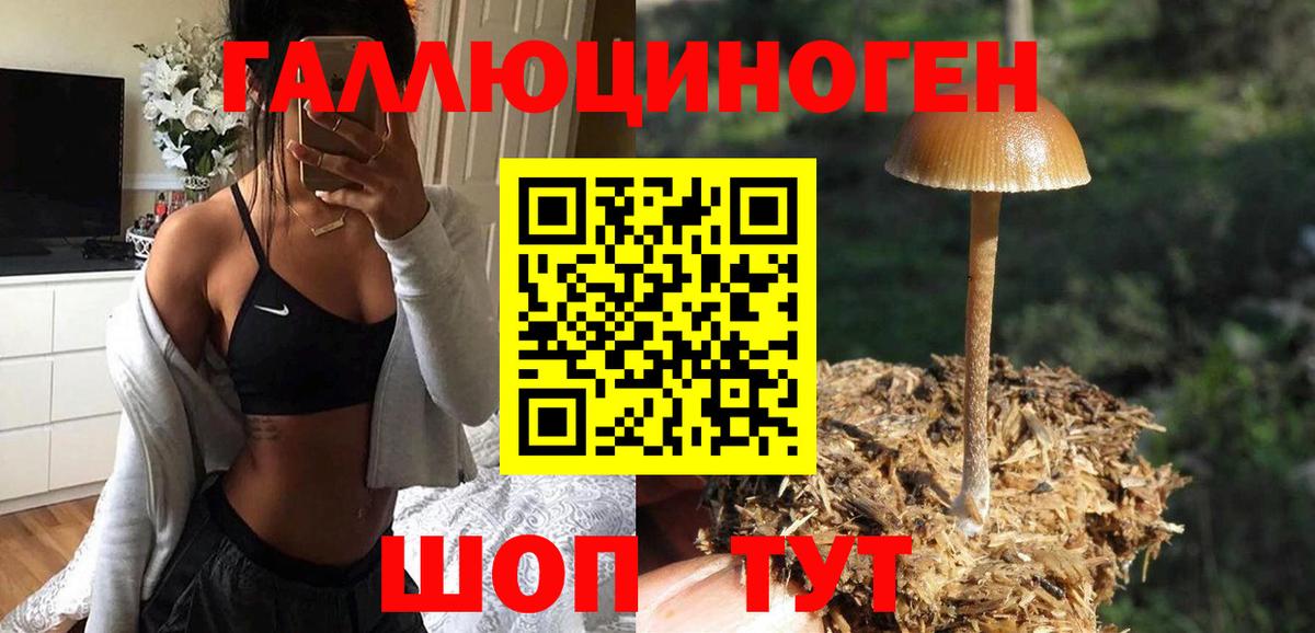 Галлюциногенные грибы Psilocybe Янаул