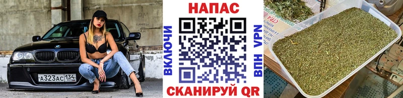 Конопля SATIVA & INDICA  hydra сайт  Янаул 